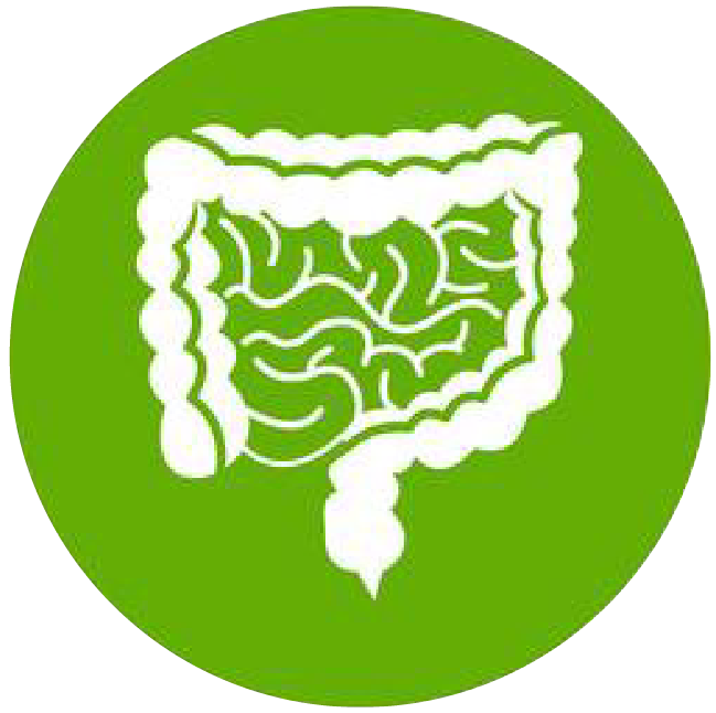 關(guān)注職場(chǎng)“腸”態(tài)，守護(hù)員工健康——上海格瑞特特邀消化內(nèi)科專家公益系列講座（4）(圖1)