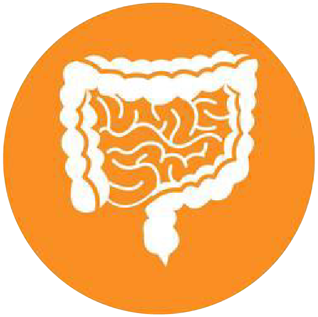 關(guān)注職場(chǎng)“腸”態(tài)，守護(hù)員工健康——上海格瑞特特邀消化內(nèi)科專家公益系列講座（4）(圖4)