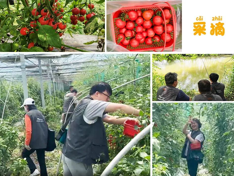 上海格瑞特夏日團(tuán)建活動圓滿舉行(圖4)